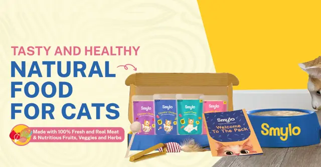 Smylo - Lifestyle Brand from Shark Tank India Season 5